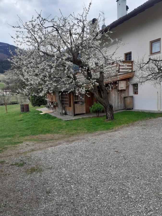Ferienwohnung Maso Pinterato Cavalese Exterior foto